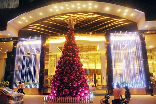 Giáng sinh,lễ giáng sinh,cây thông lớn nhất dịp giáng sinh