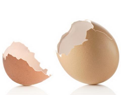 Vỏ trứng,công dụng của vỏ trứng,vỏ trứng chữa bách bệnh