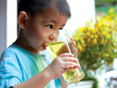 Trà Lá Sen, Giảm cân, Đồ uống giảm cân