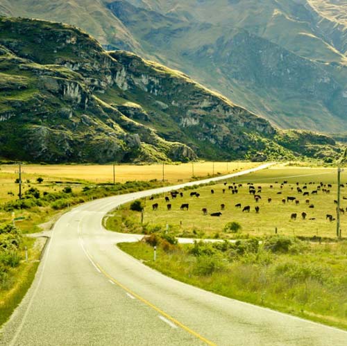 Du lịch New Zealand,Thị trấn Wanaka,Công viên quốc gia Mount Aspiring