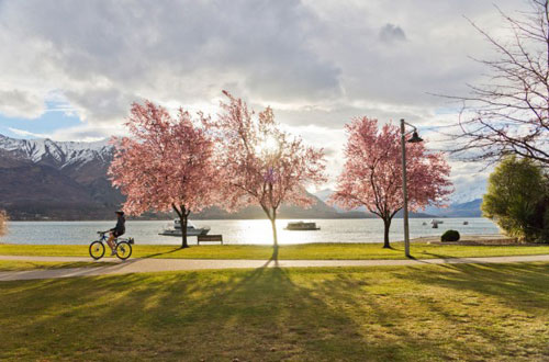 Du lịch New Zealand,Thị trấn Wanaka,Công viên quốc gia Mount Aspiring