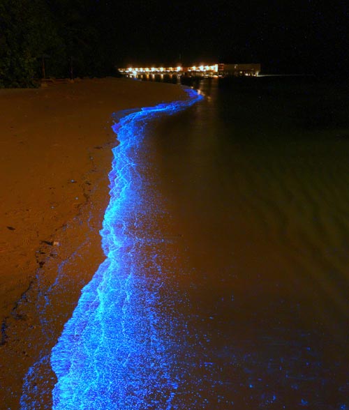 Du lịch Maldives,Bãi biển phát sáng,Du lịch biển
