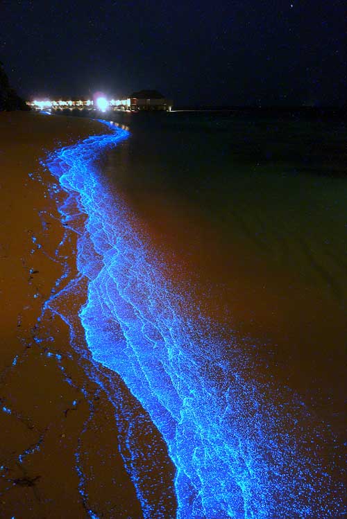 Du lịch Maldives,Bãi biển phát sáng,Du lịch biển