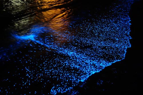 Du lịch Maldives,Bãi biển phát sáng,Du lịch biển