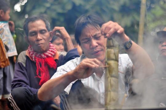 Cha con người rừng,Hồ Văn Lang,Hồ Văn Thanh