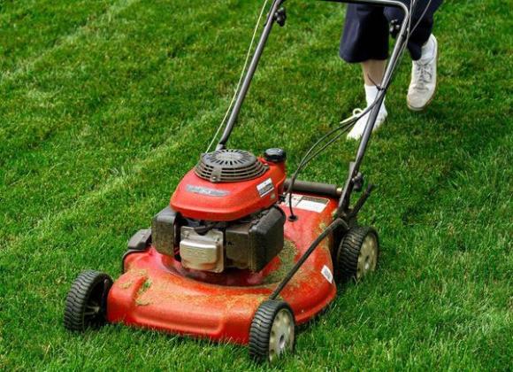 bài học công việc từ câu chuyện nhỏ,người cắt cỏ,tiểu hòa thượng đánh chuông
