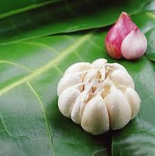Khám phá những công dụng hữu ích của tỏi