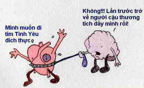 Ảnh vui,ảnh chế,hài hước,ảnh tếu,Ảnh hài hước