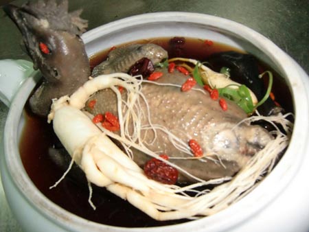 gà ác,dinh dưỡng từ gà ác