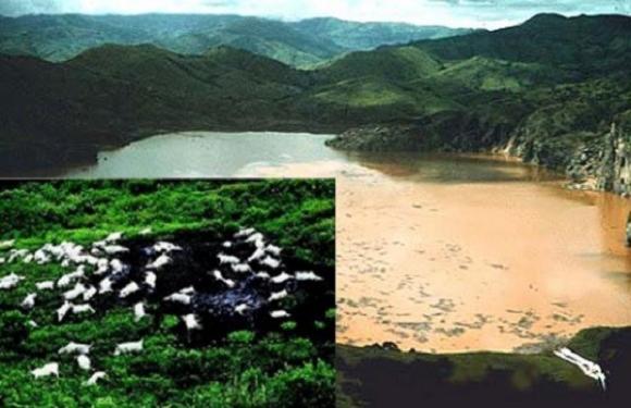 Những bí mật kinh hoảng của tự nhiên đã giết chết người gây xôn xao 