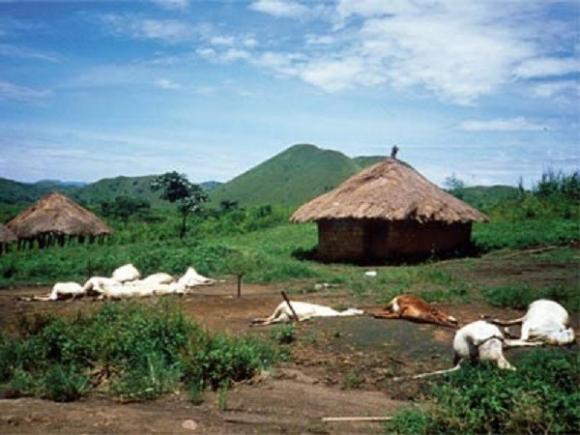 Những bí mật kinh hoảng của tự nhiên đã giết chết người gây xôn xao 