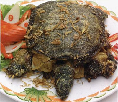 Công dụng của ba ba,Món ăn từ ba ba,Ba Ba hầm
