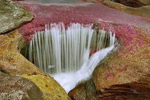 Sông Cano Cristales,Công viên quốc gia Macarena,Địa danh du lịch