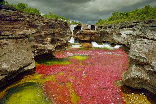 Sông Cano Cristales,Công viên quốc gia Macarena,Địa danh du lịch