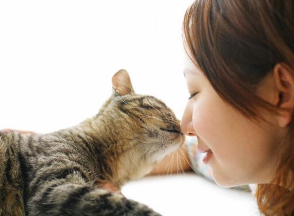 Những chuyện bi hài nơi công sở