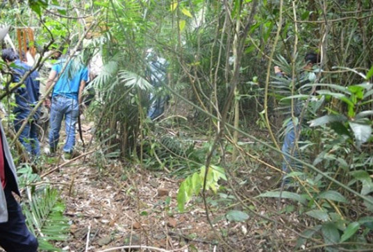 Xác người không đầu,Thi thể không đầu,Xác người trong rừng