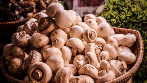 Ung Thư Vú,Thực phẩm ngừa ung thư vú,Cá hồi,Khoai lang