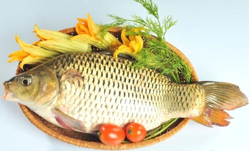 Cá chép,Công dụng của cá chép,Cá chép làm thuốc
