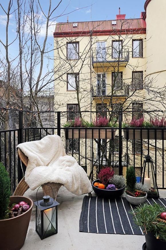 Những căn nhà lý tưởng cho bạn lựa chọn