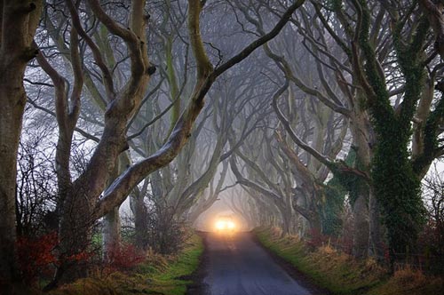 Du lịch Bắc Ireland,Đường cây Dark Hedges,Địa danh du lịch