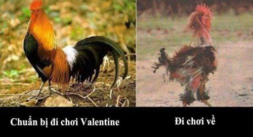 Ảnh vui,ảnh chế,hài hước,ảnh tếu,Ảnh hài hước