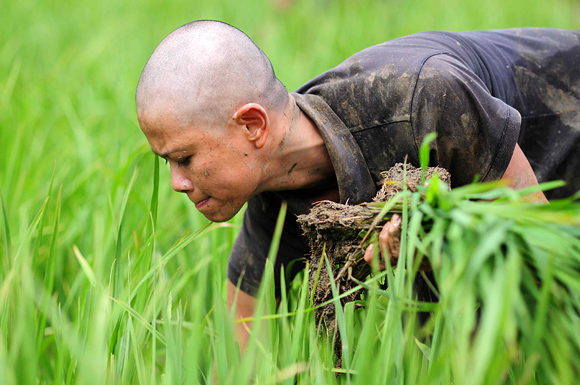 Những kiểu tóc các mỹ nhân thể hiện trong màn ảnh