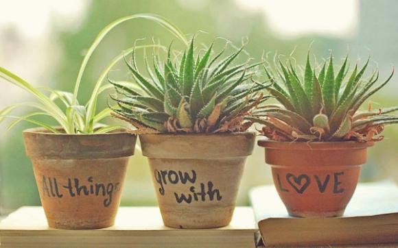 Trắc nghiệm,đoán vận mệnh của mình qua ngày