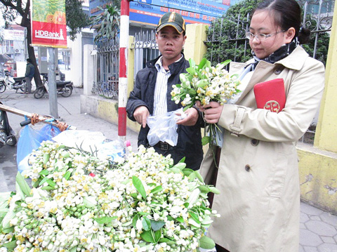 chơi hoa bưởi,hoa bưởi,đắt hàng hoa bưởi