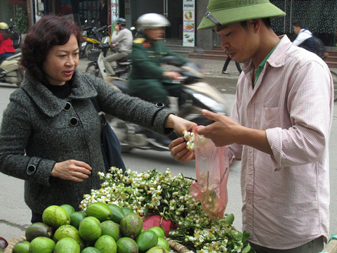 chơi hoa bưởi,hoa bưởi,đắt hàng hoa bưởi