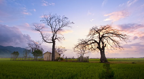 Khám phá bờ biển đầy thơ mộng của Khánh Hòa trong chuyến du lịch của bạn. Khánh Hoà Travel sẽ đưa bạn trải nghiệm các hoạt động thú vị như lướt sóng, đi ngắm san hô, chèo kayak và tham quan các địa danh nổi tiếng như tháp Ponagar hay chùa Long Sơn. Cùng Khánh Hoà Travel, bạn sẽ có những kỷ niệm đáng nhớ trên bờ biển xinh đẹp này.