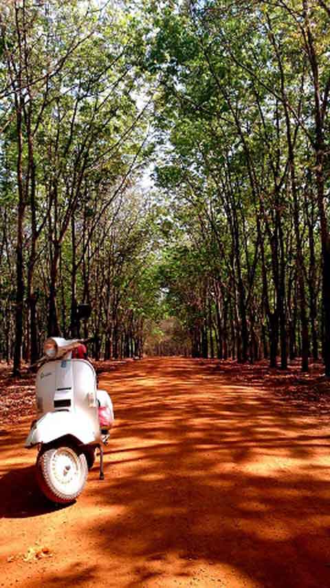 Du lịch,xuyên Việt,du lịch bằng Vespa,hành trình