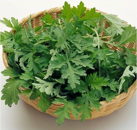 Đau bụng sau sinh,Chữa đau bụng sau sinh,Thuốc chữa đau bụng sau sinh