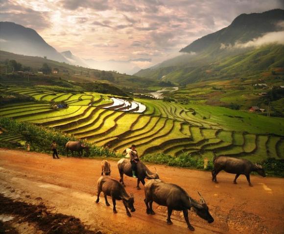 Ảnh đẹp vùng quê Đông Nam Á,ảnh nông thôn,vùng quê