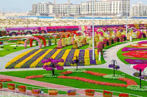 Vườn hoa lớn nhất thế giới,Vườn hoa Dubai Miracle,Địa danh du lịch