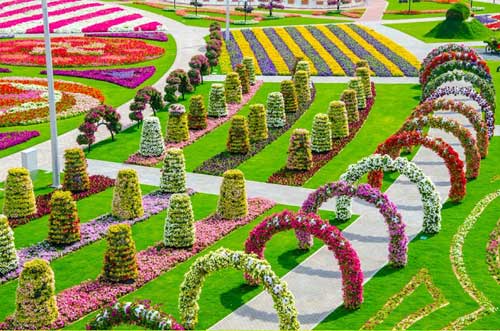 Vườn hoa lớn nhất thế giới,Vườn hoa Dubai Miracle,Địa danh du lịch