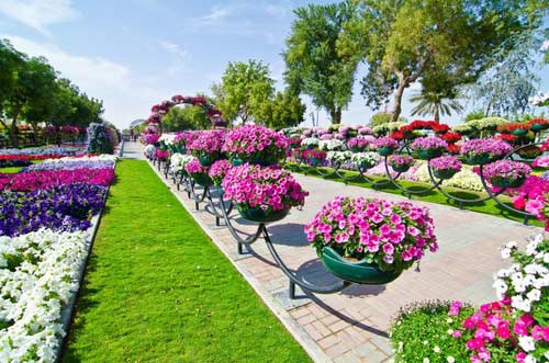 Vườn hoa lớn nhất thế giới,Vườn hoa Dubai Miracle,Địa danh du lịch
