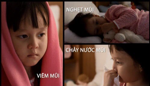 viêm mũi dị ứng ở trẻ,bệnh viêm mũi dị ứng,chăm con