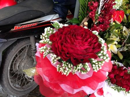 Hoa 8/3,Hoa tươi,Giá hoa 8/3,Quà tặng 8/3