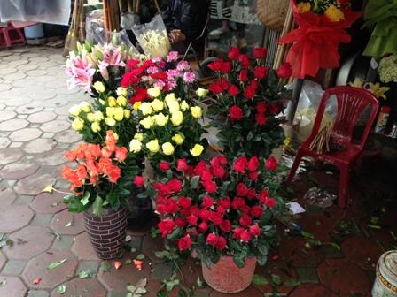 Hoa 8/3,Hoa tươi,Giá hoa 8/3,Quà tặng 8/3