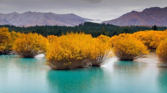 Cảnh đẹp,cảnh tuyệt đẹp tại đảo Nam New Zealand