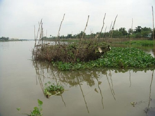 Mẹ giết con,Mẹ nem con xuống sông,Mẹ giết con 3 tháng tuổi