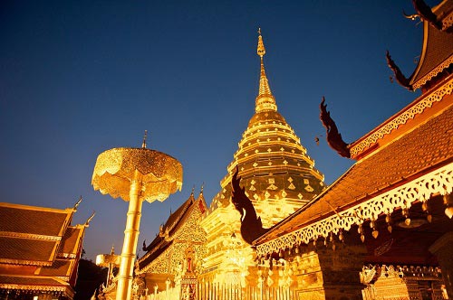 Du lịch,du lịch Thái Lan,Chiang Mai,đoá hồng phương bắc