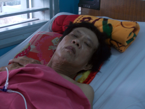 Nhạc sĩ Vinh Sử,Bùi Vinh Sử,Vua nhạc sến