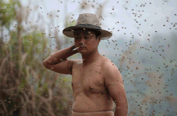 Chuyện lạ,Trung Quốc,người đàn ông,bu ong đầy người,thu hút,trình diễn.