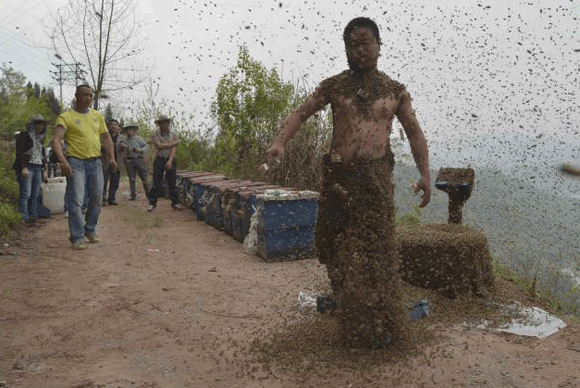 Chuyện lạ,Trung Quốc,người đàn ông,bu ong đầy người,thu hút,trình diễn.