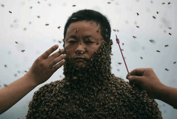 Chuyện lạ,Trung Quốc,người đàn ông,bu ong đầy người,thu hút,trình diễn.