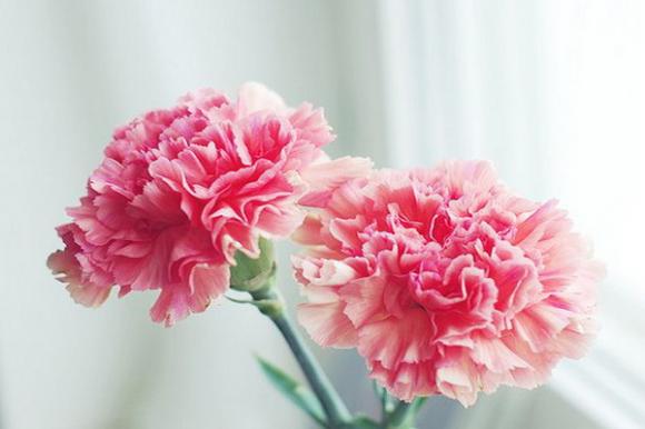 Trắc nghiệm,vận mệnh,đoán vận mệnh qua ngày.