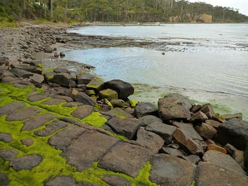 Đảo Tasmania,Du lịch Úc,Địa danh du lịch