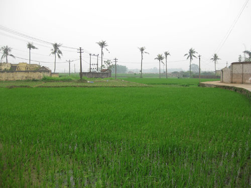 Du lịch Đường Lâm,Làng cổ Đường Lâm,Đường Lâm