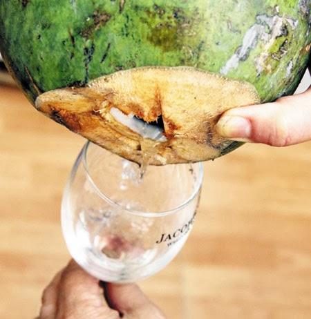Thực phẩm,làm đẹp,tốt da,mùa hè,sữa chua,socola